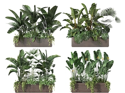 现代花箱 盆景 植物堆 绿植 灌木 植物