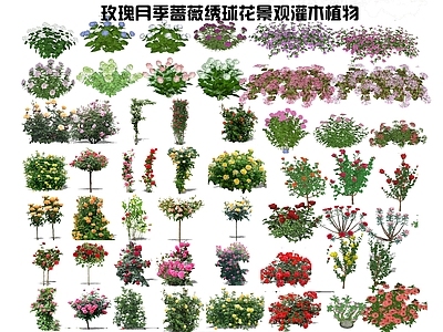 现代2D景观灌木 蔷薇 玫瑰 月季 绣球 花卉花草 庭院花境组团