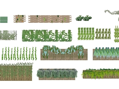 现代藤蔓绿植 藤本绿植墙 植物墙 垂直绿化 爬藤 爬山虎 绿植花架 绿植墙