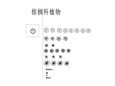 华南苗木库棕榈落叶施工图图块