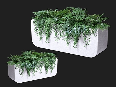 植物花箱
