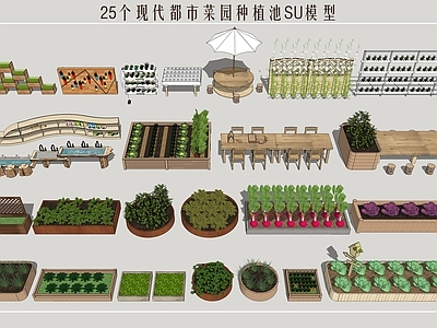 现代都市菜园 庭院菜园 一米菜园 蔬菜种植池