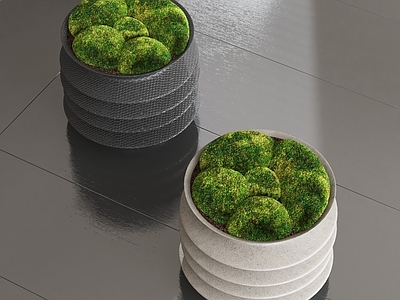 现代盆栽摆件 植物 苔藓 盆景 植被 饰品摆件 陈设品 桌面