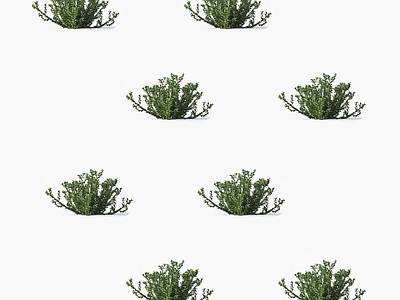 草
