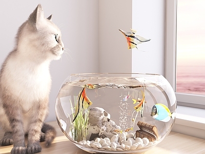 鱼缸 鱼 猫 水 石子