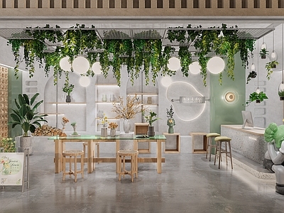 现代花店 店面 门头 花卉植物 橱窗陈设 盆栽 花架 礼品店 插花