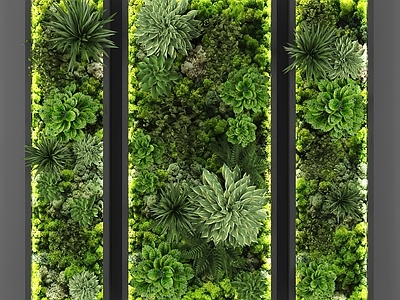 植物墙