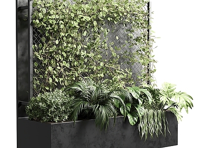 植物墙
