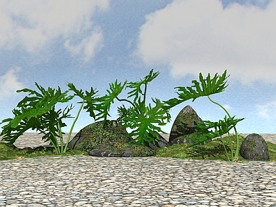 绿化植物 植物 开花植物 观赏植物