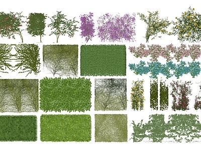 现代藤本植物 绿植墙 爬山虎 藤曼爬藤 野生植物 紫藤 迎春花 攀爬植物 绿植墙