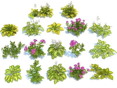 花草
