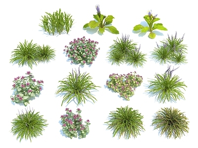 花草