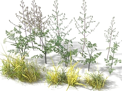 花草组合