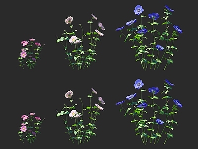 花草组合