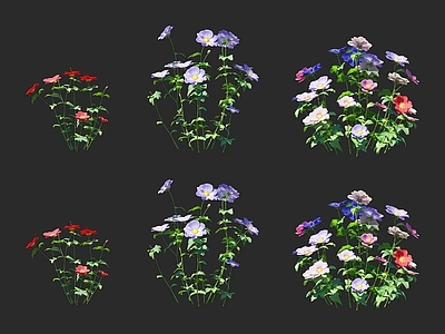 花草组合