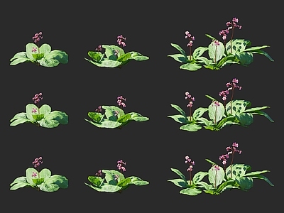 花草组合