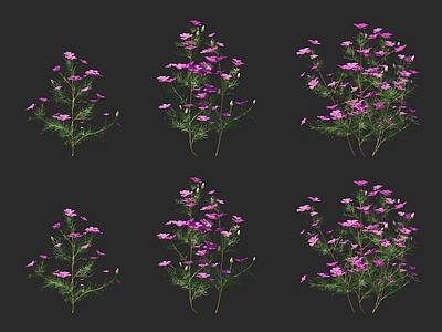 花草组合