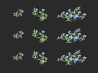 花草组合