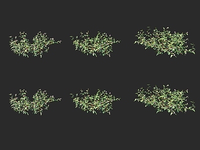 花草组合