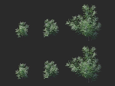 花草组合