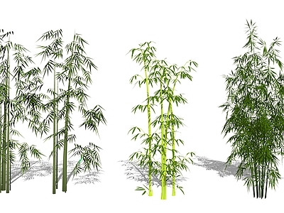 现代竹子组合