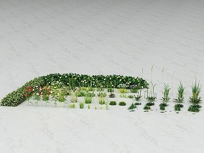 绿植花草 油菜花 野花 野草