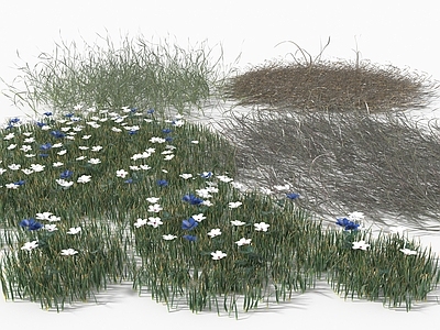 枯草 花