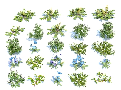 花草组合