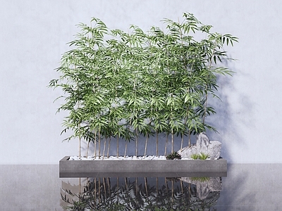 新中式竹子
