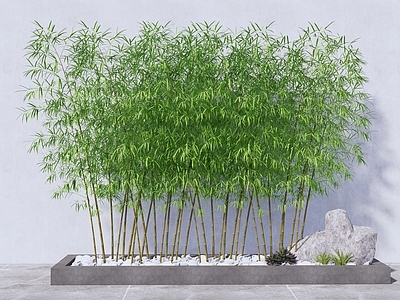 新中式竹子