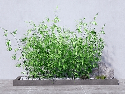 新中式竹子