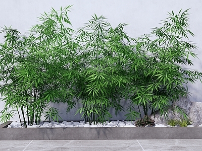 新中式竹子