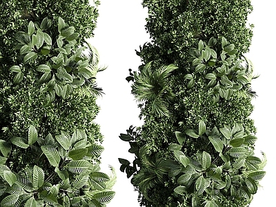 立柱植物 墙