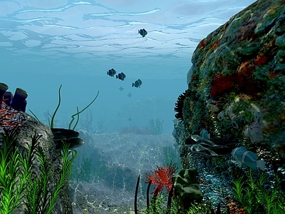 现代海底世界