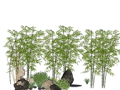 竹林