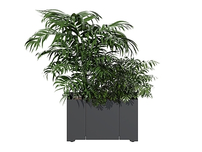 绿植花箱