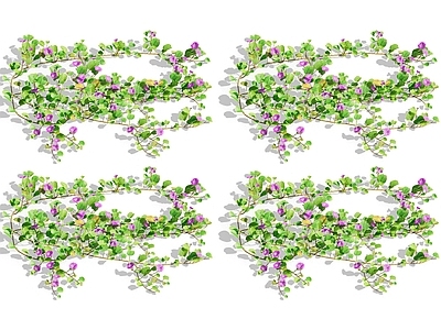 常春藤 攀爬植物 爬藤 藤蔓 爬山虎 蔷薇