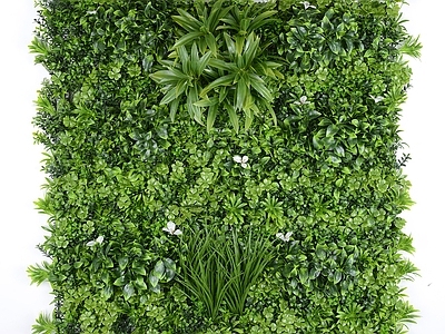 植物灌木绿植墙
