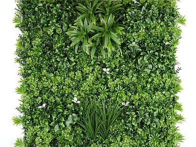 植物灌木绿植墙