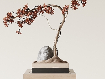 植物盆栽盆景 石头 干枝枯枝 藤枝 花盆 户外植物 摆件 桌面