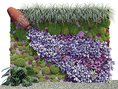 植物墙 墙 花草 花卉