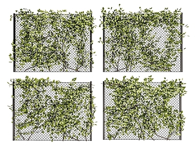 现代围墙 金属网钢丝网铁丝网 放盗网 爬山虎爬墙植物 植物墙 植物隔断 绿植墙