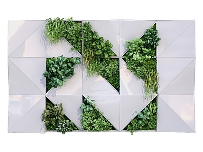 绿植植物墙