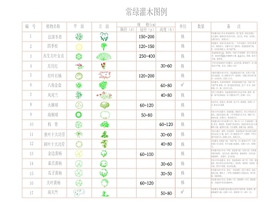 常绿灌木植物图列及说明