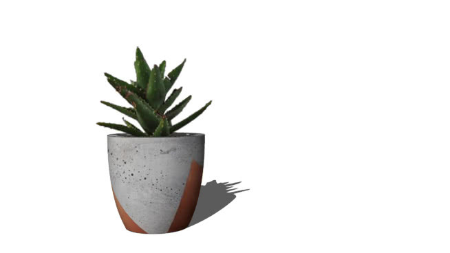 植物盆栽 其他 饰品 画