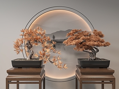 盆栽 盆景 桌面