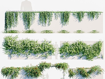 藤蔓藤本植物 绿植墙 花草花卉 灌木 花架 爬山虎 爬墙虎 绿篱 绿植墙