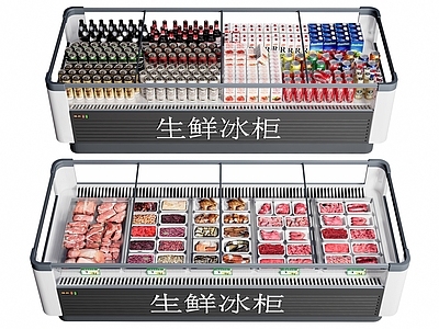 现代冰柜 冷藏柜 肉类食物 饮料
