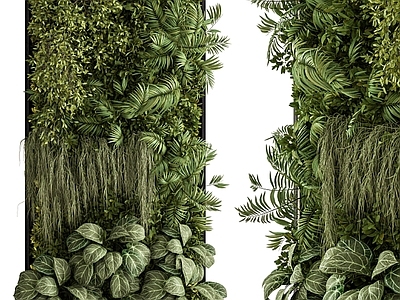 绿植墙 植物墙