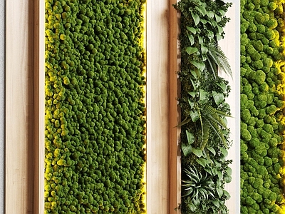 绿植墙